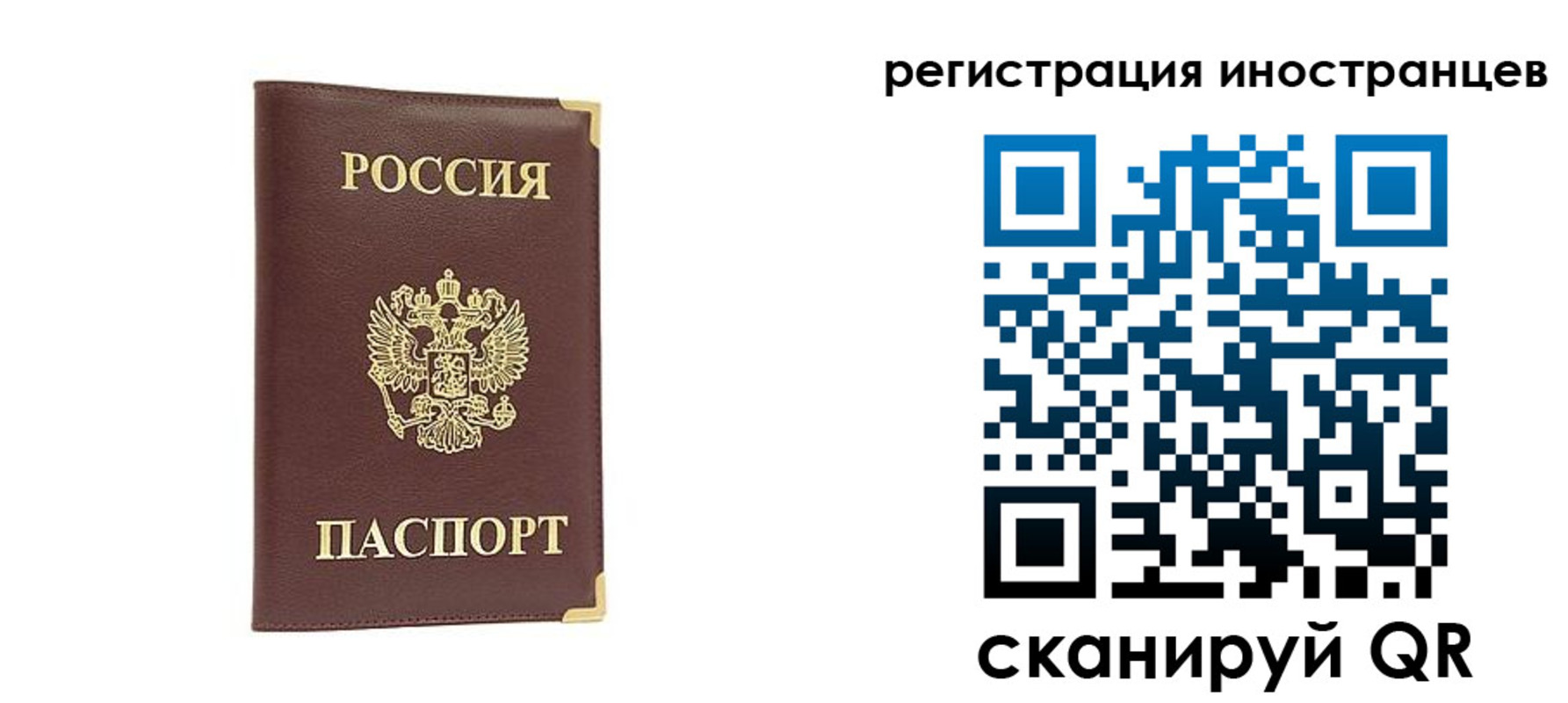 регистрация в Долгопрудном