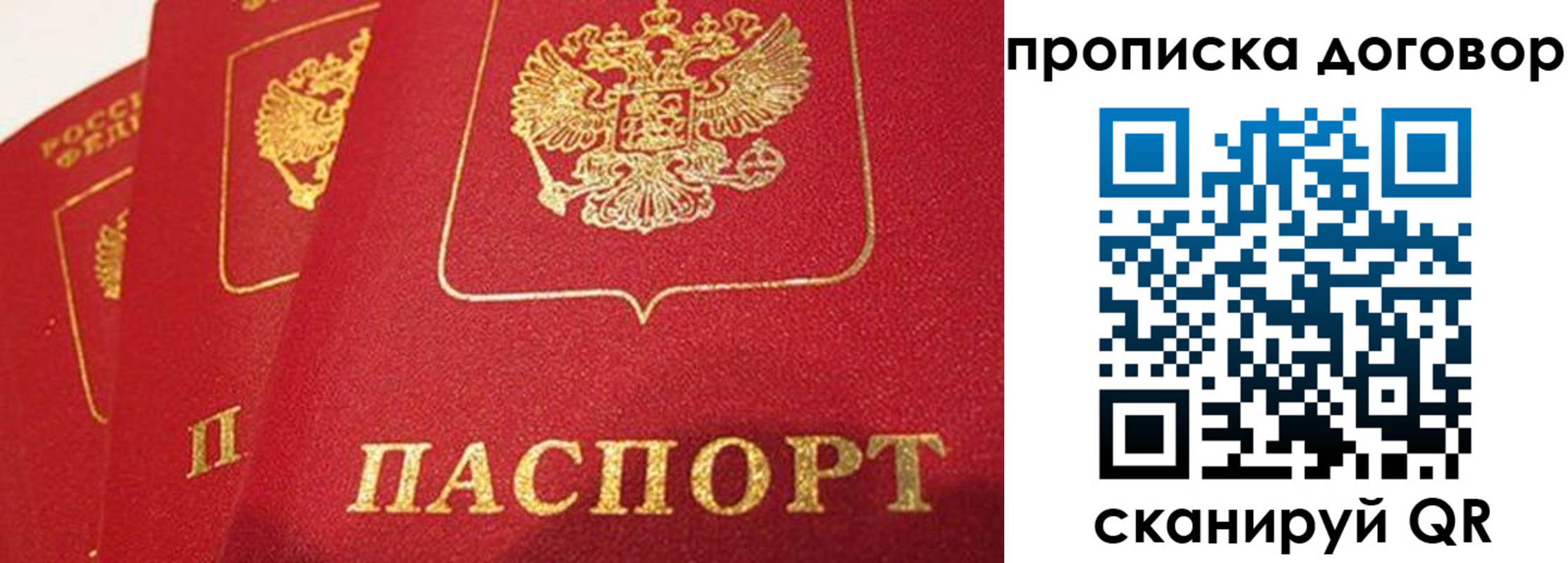 найти адрес прописки в Долгопрудном